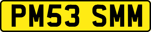 PM53SMM