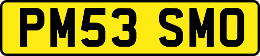 PM53SMO
