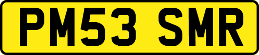PM53SMR