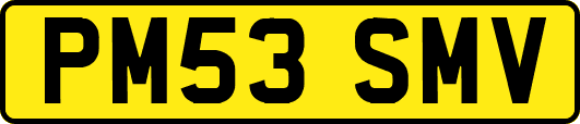 PM53SMV
