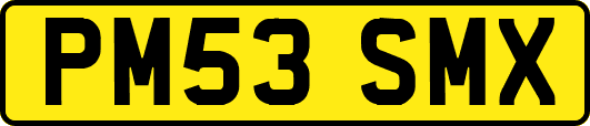 PM53SMX