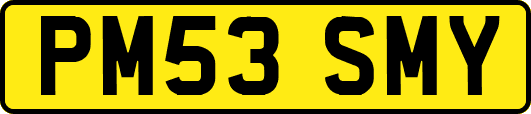 PM53SMY