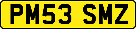 PM53SMZ