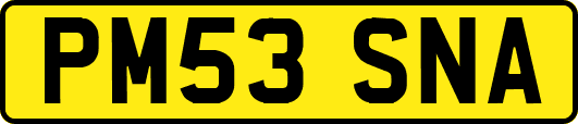PM53SNA