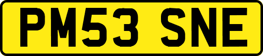 PM53SNE