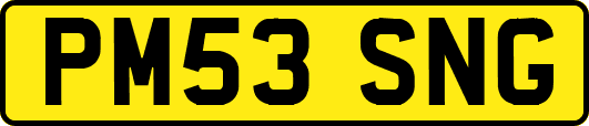 PM53SNG