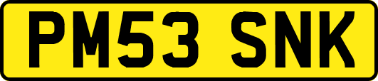 PM53SNK