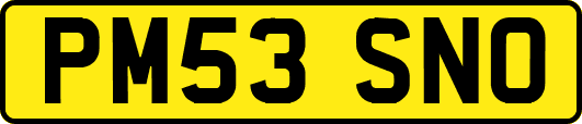 PM53SNO