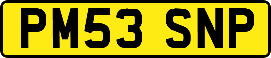 PM53SNP