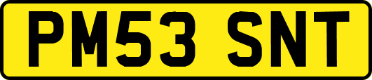 PM53SNT