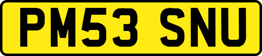 PM53SNU