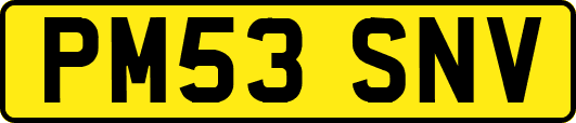 PM53SNV