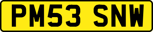 PM53SNW