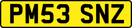 PM53SNZ