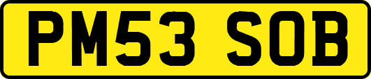 PM53SOB