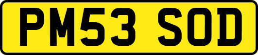 PM53SOD