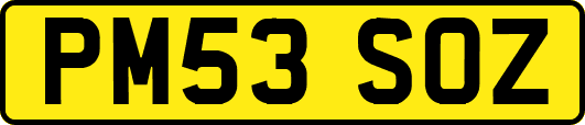 PM53SOZ