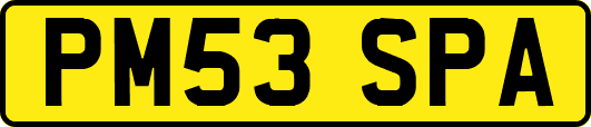 PM53SPA