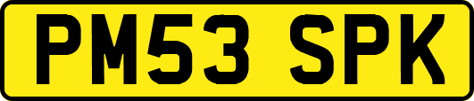 PM53SPK