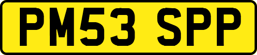 PM53SPP