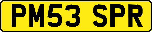 PM53SPR