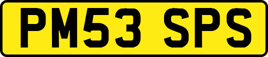 PM53SPS
