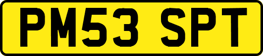 PM53SPT