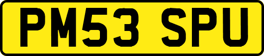PM53SPU