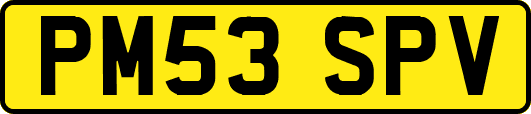 PM53SPV