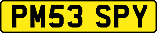 PM53SPY