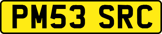 PM53SRC