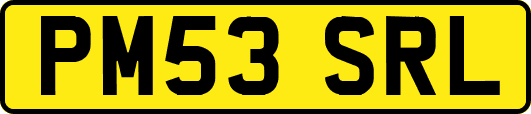 PM53SRL
