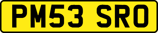 PM53SRO