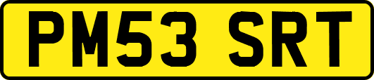 PM53SRT