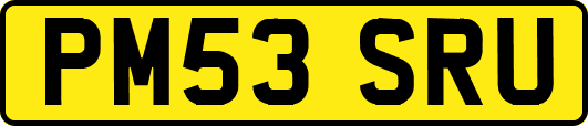 PM53SRU