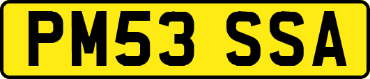 PM53SSA