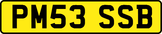 PM53SSB
