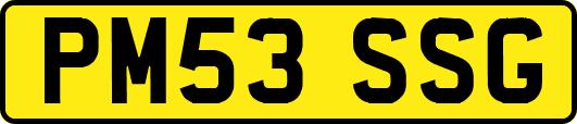 PM53SSG