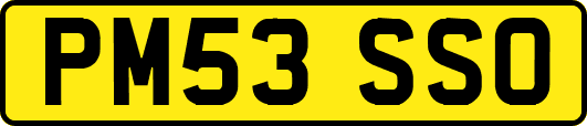 PM53SSO