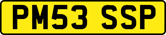 PM53SSP