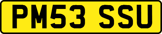PM53SSU
