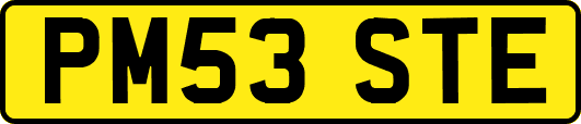 PM53STE