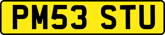 PM53STU