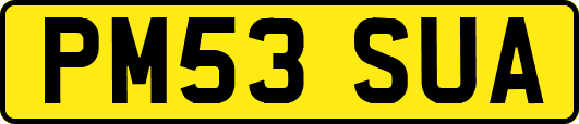 PM53SUA