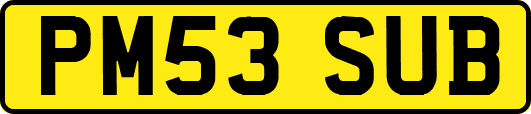 PM53SUB