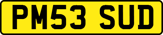 PM53SUD