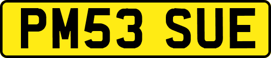 PM53SUE