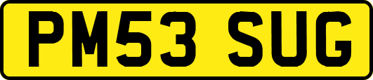 PM53SUG
