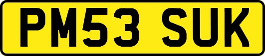 PM53SUK