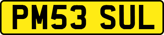 PM53SUL